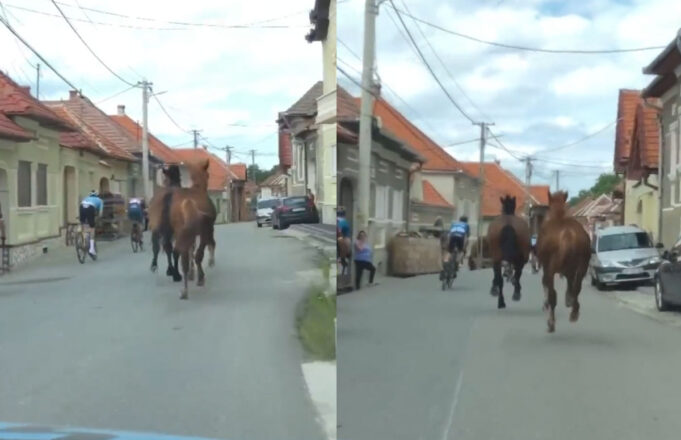 Caballos desatan el caos en el Sibiu Tour 2023